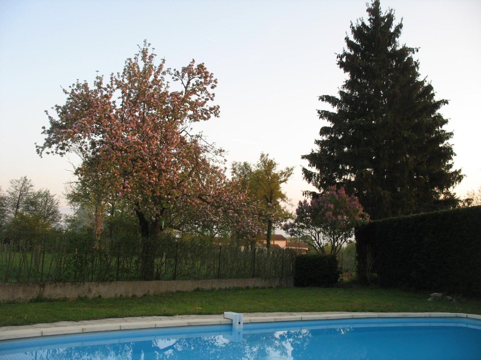 Ferienwohnung La Ferme Du Nizon Valeille Exterior foto