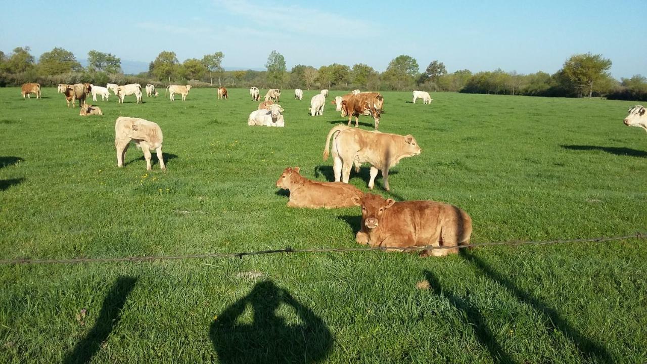 Ferienwohnung La Ferme Du Nizon Valeille Exterior foto